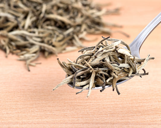 Why Is Silver Needle Tea So Expensive?