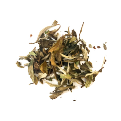 Emerald Orchard – Loose Leaf White Tea with Juicy Kiwi & Crisp Pear Flavor