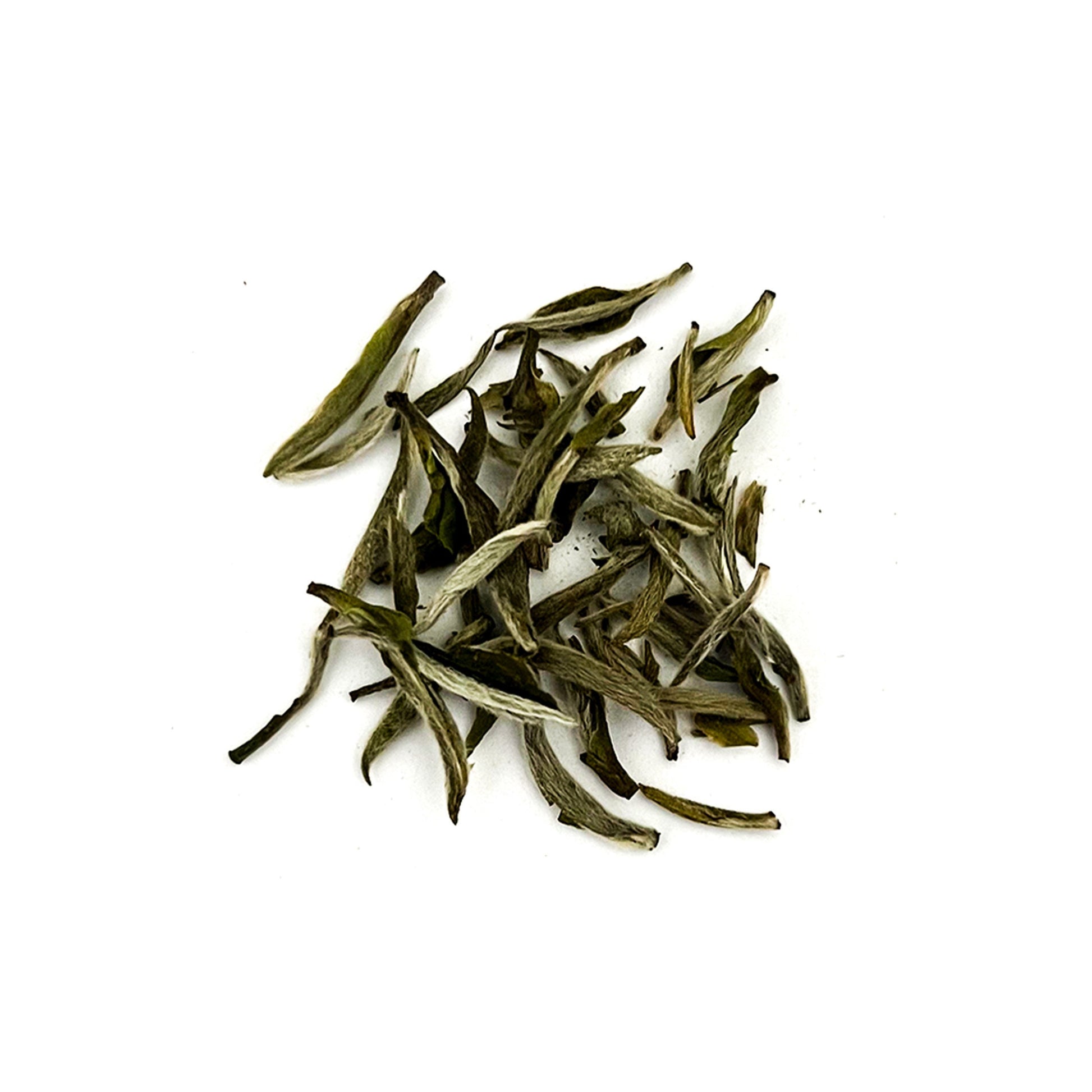 Bathala Botanicals Silver Needle Tea - Loose Leaf Silver Needles White Tea - 1oz | 2oz| 4oz Tea Pack - White Tea Gift - Premium White Tea